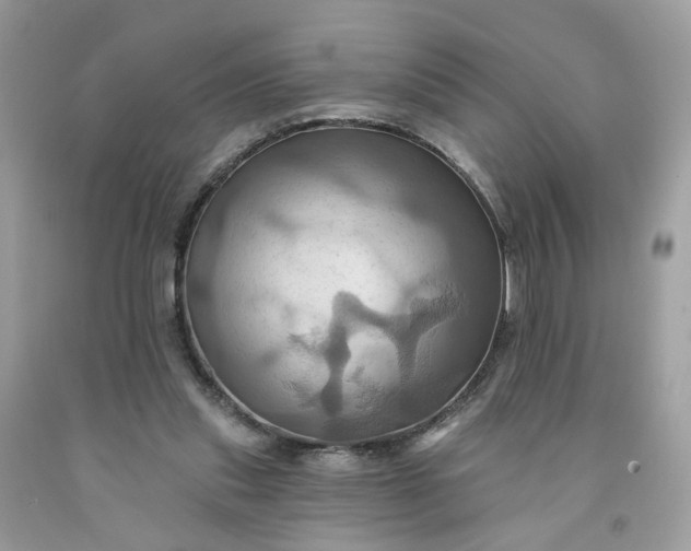 X0000091580253200709051106