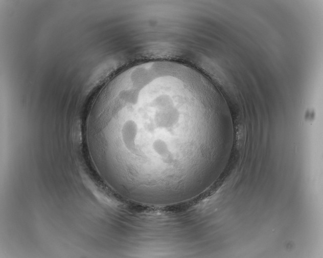 X0000091580254200709051106