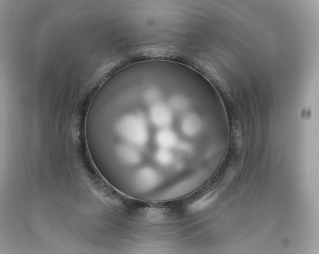 X0000091580255200709051106