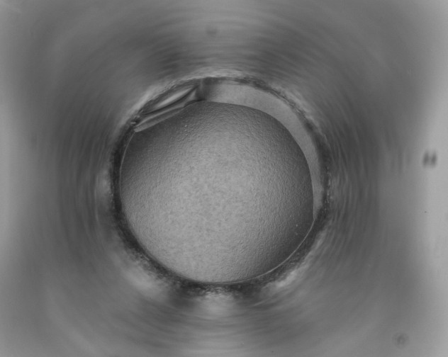 X0000091580256200709051106