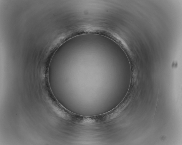 X0000091580257200709051106