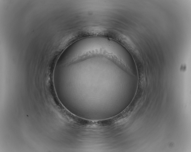 X0000091580259200709051106