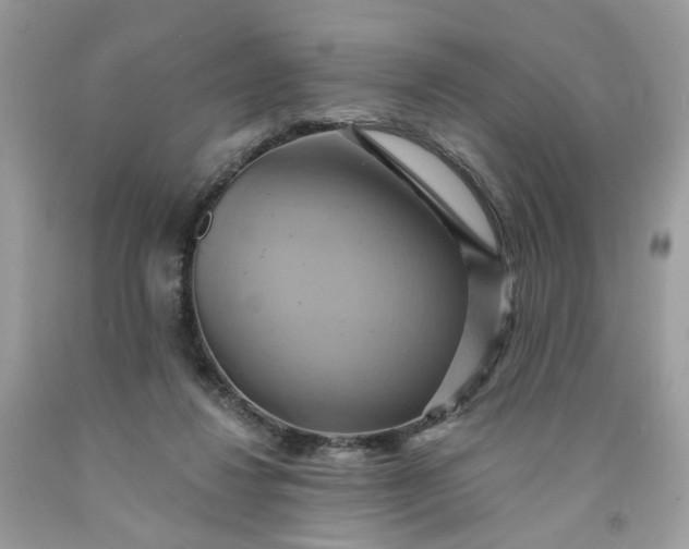 X0000091580260200709051106