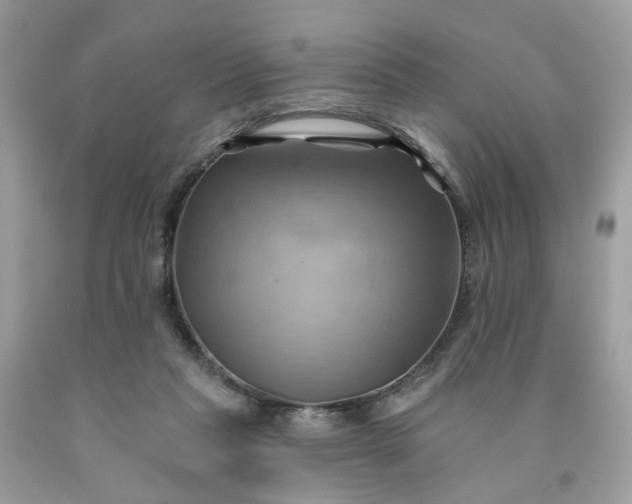 X0000091580261200709051106