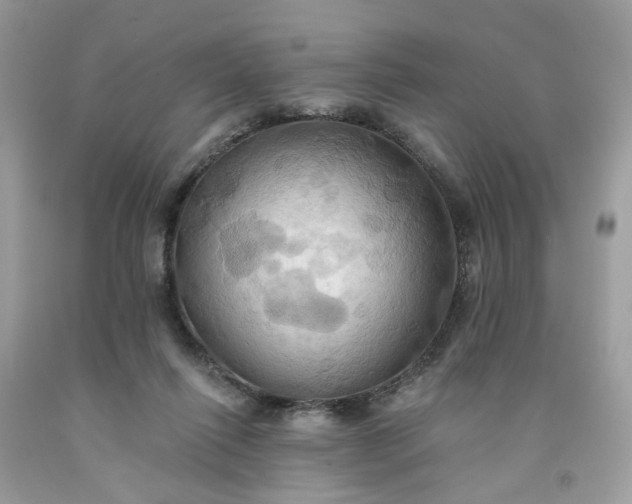 X0000091580262200709051106