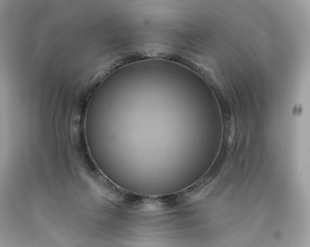 X0000091580263200709051106