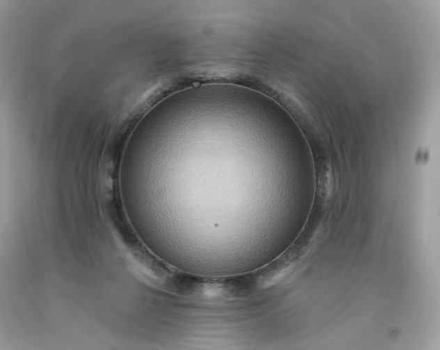 X0000091580264200709051106