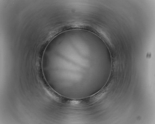 X0000091580265200709051106