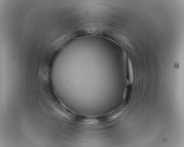 X0000091580266200709051106