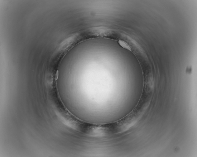 X0000091580268200709051106