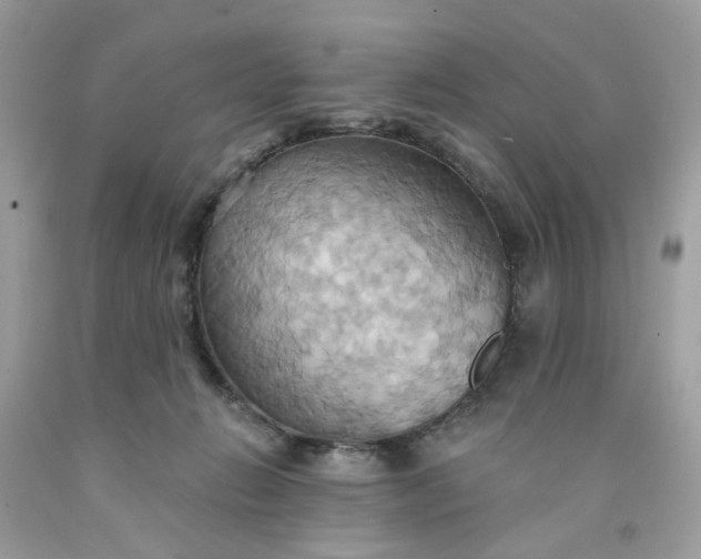 X0000091580270200709051106