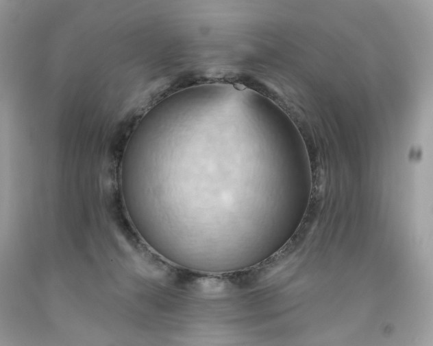 X0000091580272200709051107