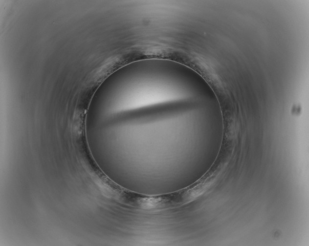 X0000091580273200709051107