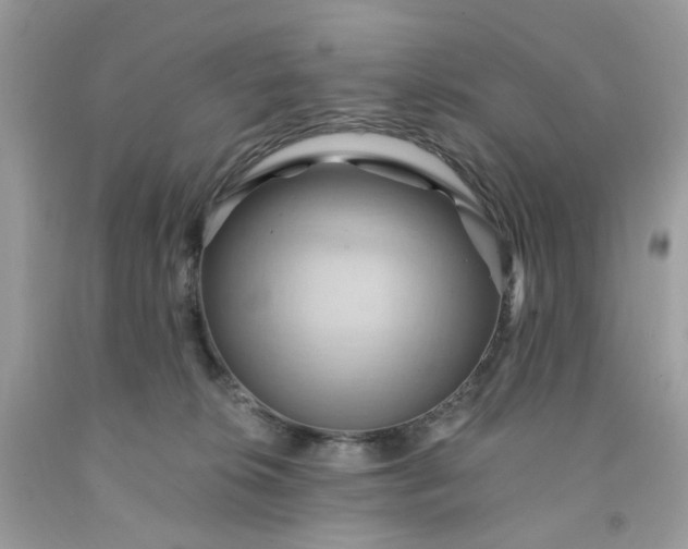 X0000091580276200709051107