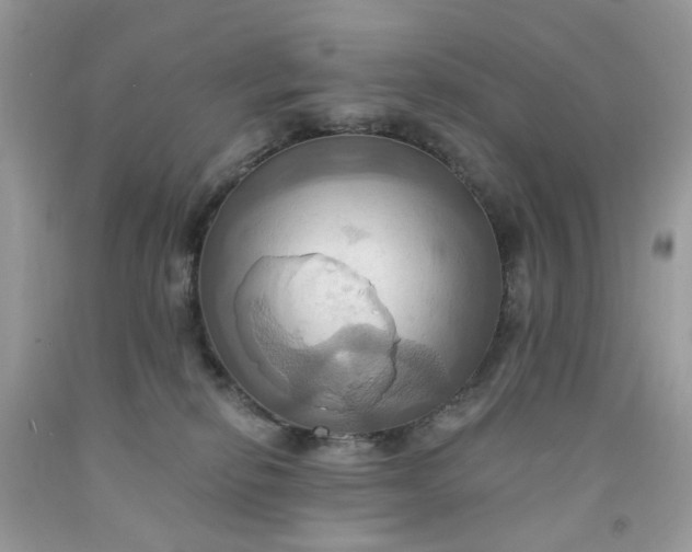 X0000091580278200709051107