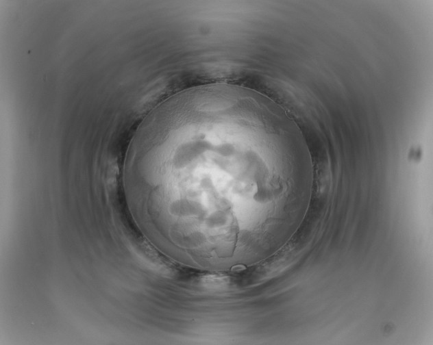 X0000091580279200709051107