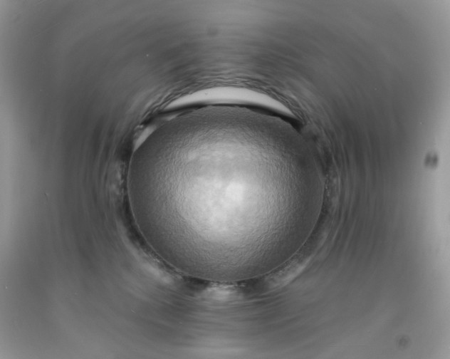 X0000091580280200709051107