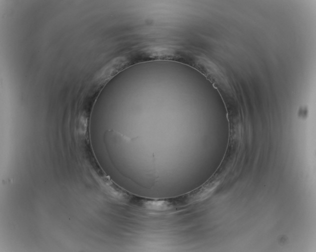 X0000091580281200709051107