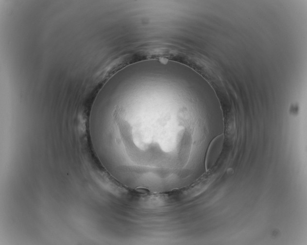 X0000091580282200709051107