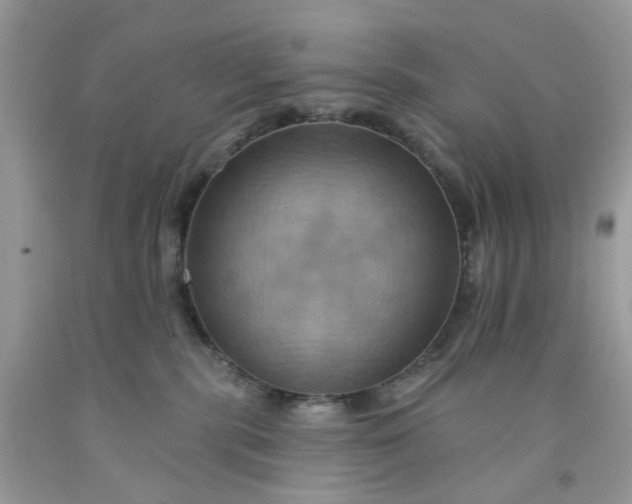 X0000091580283200709051107