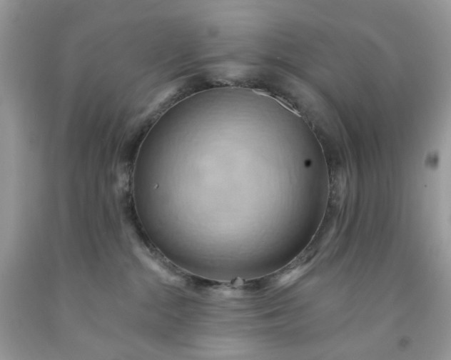 X0000091580284200709051107