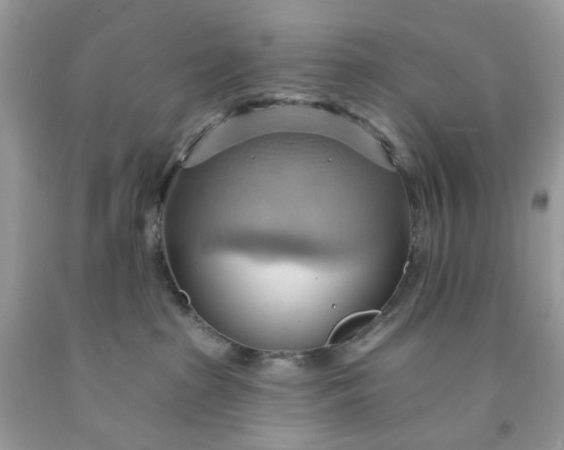 X0000091580285200709051107