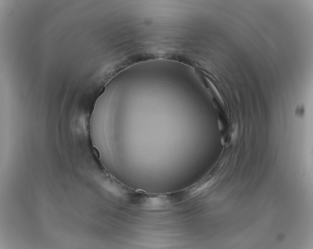 X0000091580286200709051107