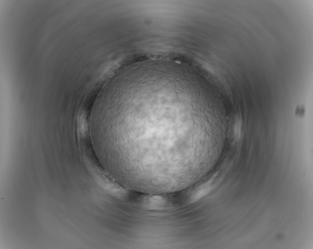 X0000091580287200709051107