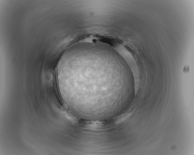 X0000091580288200709051107