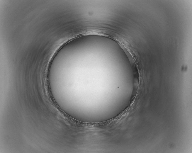 X0000091580289200709051106