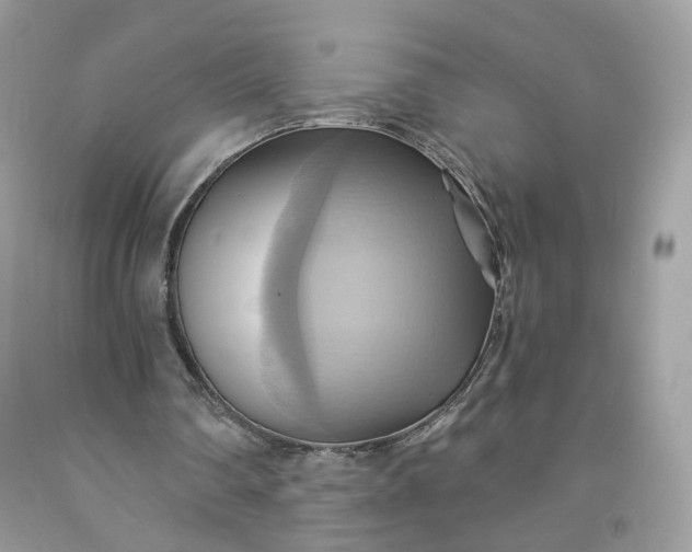 X0000091580290200709051106