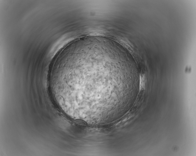 X0000091580291200709051106