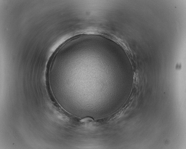 X0000091580292200709051106