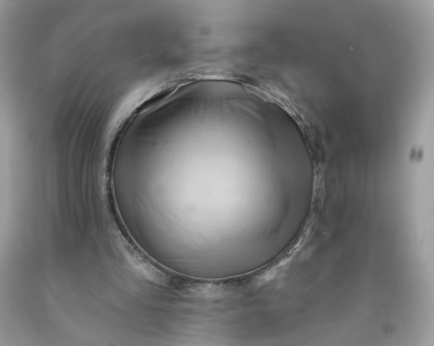 X0000091580293200709051106