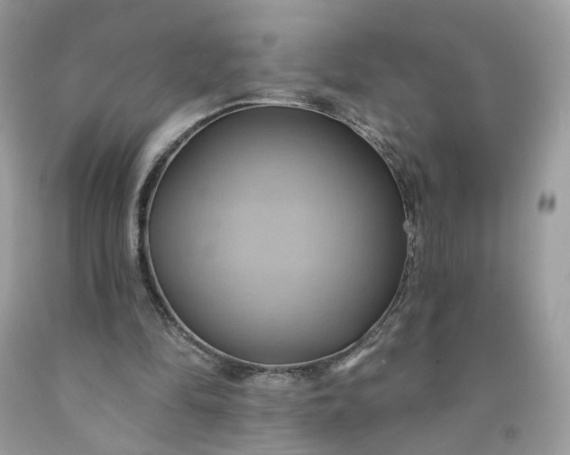 X0000091580294200709051106