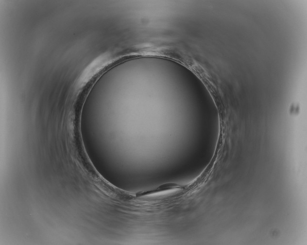 X0000091580295200709051106