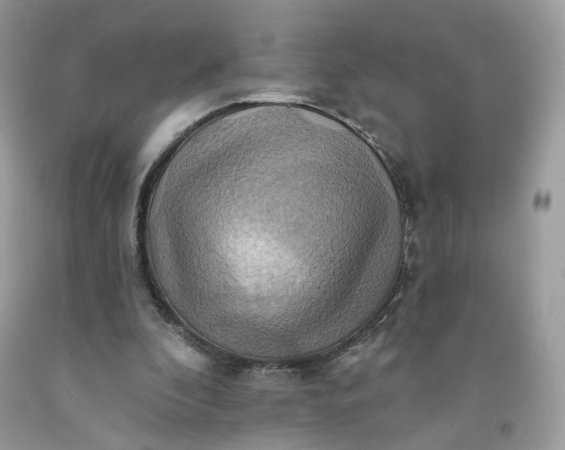 X0000091580296200709051106