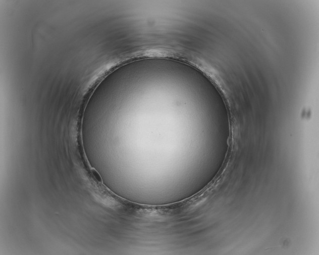 X0000091580297200709051106