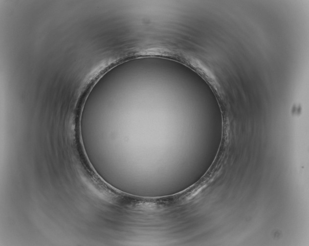 X0000091580298200709051106