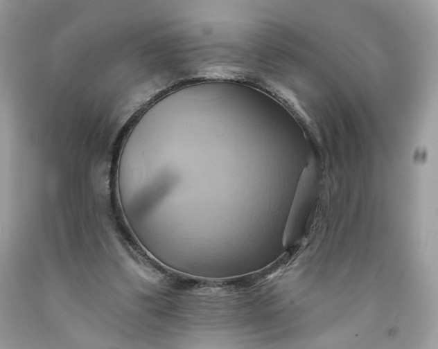 X0000091580299200709051106