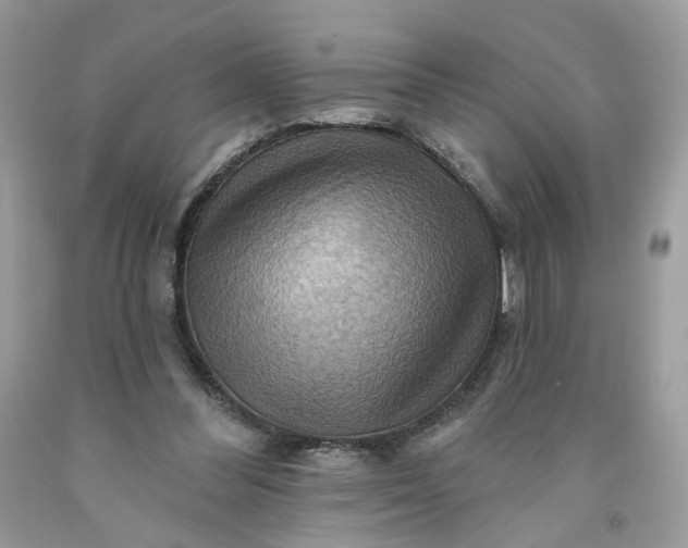 X0000091580300200709051106