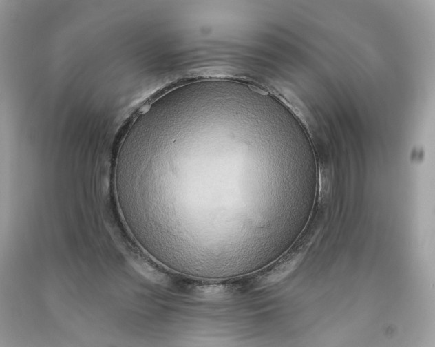 X0000091580301200709051106