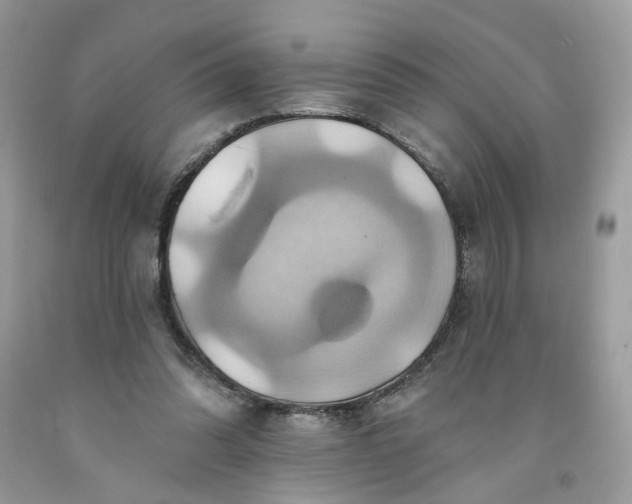 X0000091580302200709051106