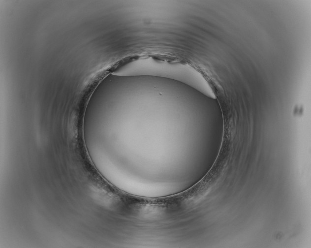 X0000091580303200709051106