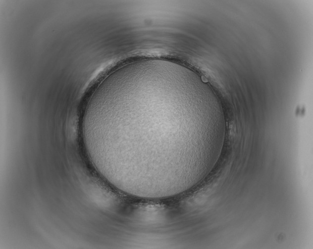 X0000091580304200709051106