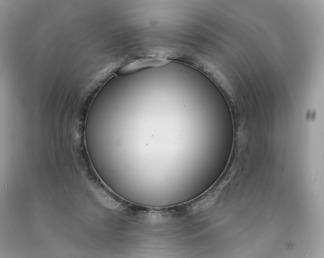 X0000091580305200709051106