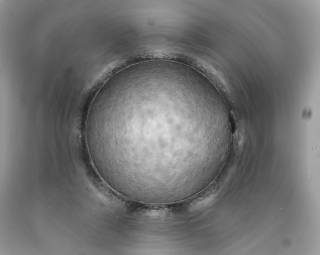 X0000091580306200709051106