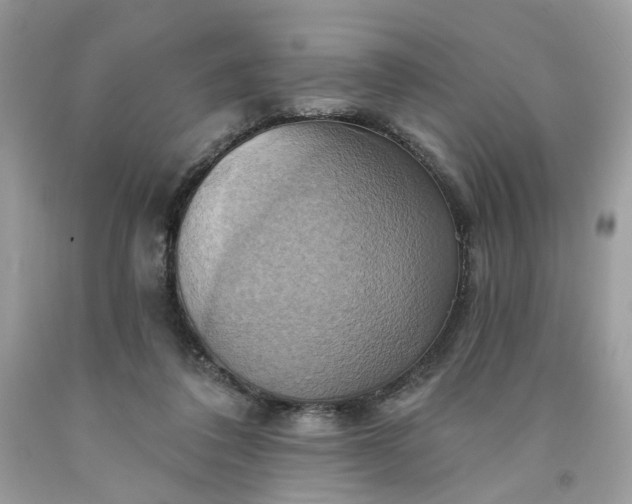 X0000091580308200709051106