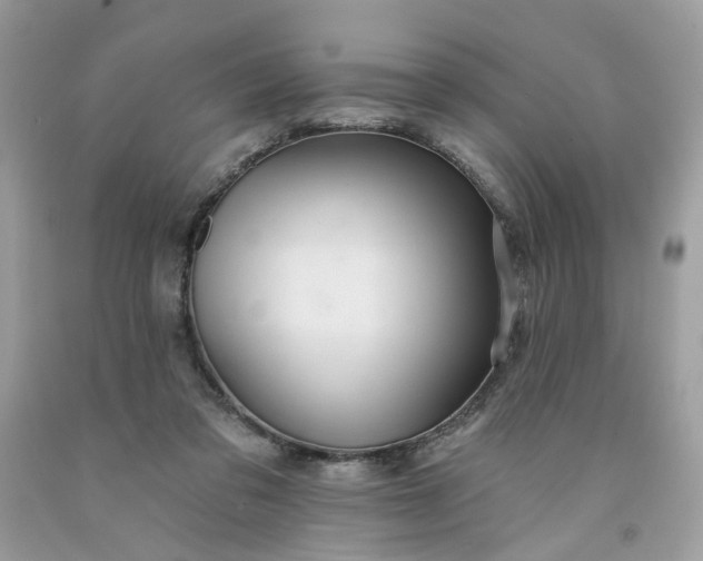 X0000091580309200709051106