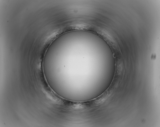 X0000091580310200709051106